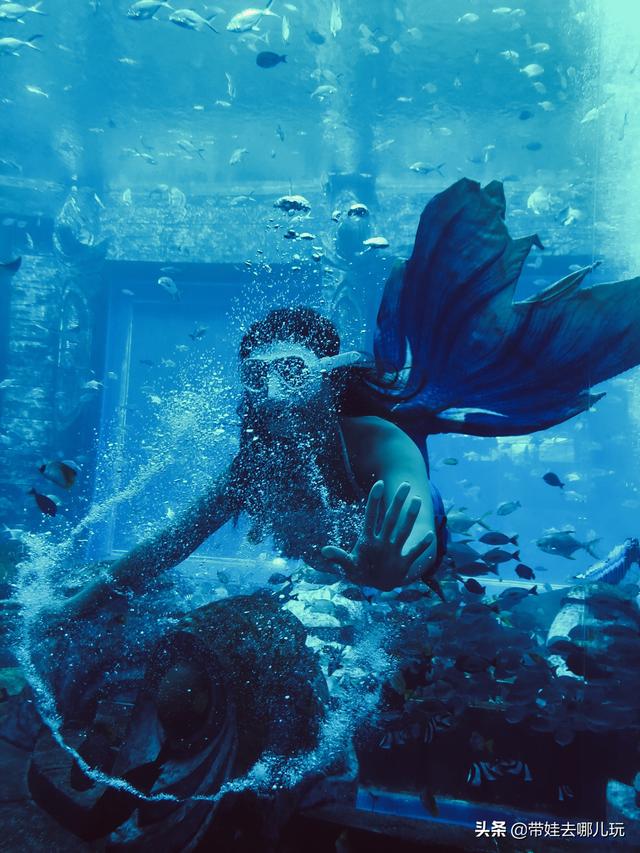 亚特兰蒂斯人鱼 水下图片