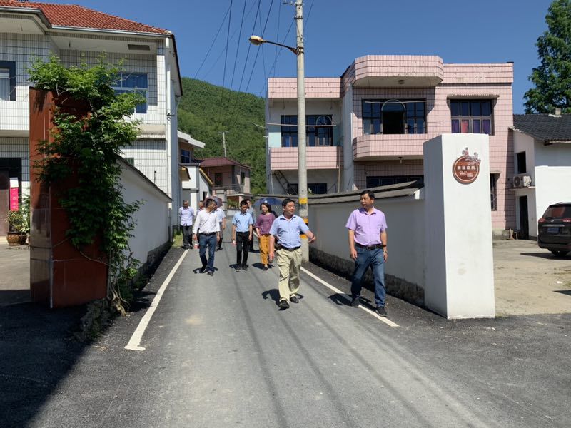 杭垓人大让民生项目跑起来