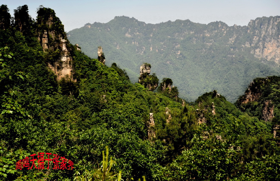 天子山东临索溪峪,南接张家界,北依桑植县,是武陵源区四大风景之一.