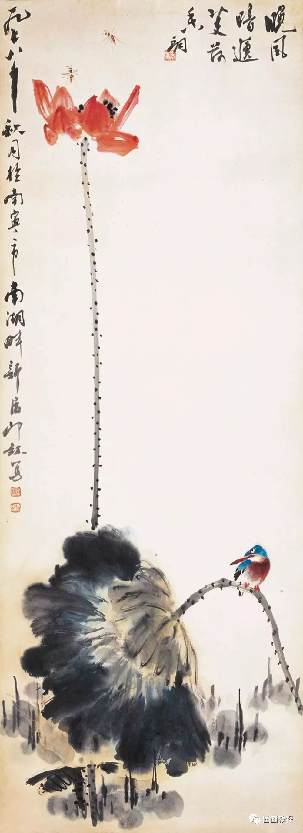 萧朗画荷50幅,美极了!_荷花