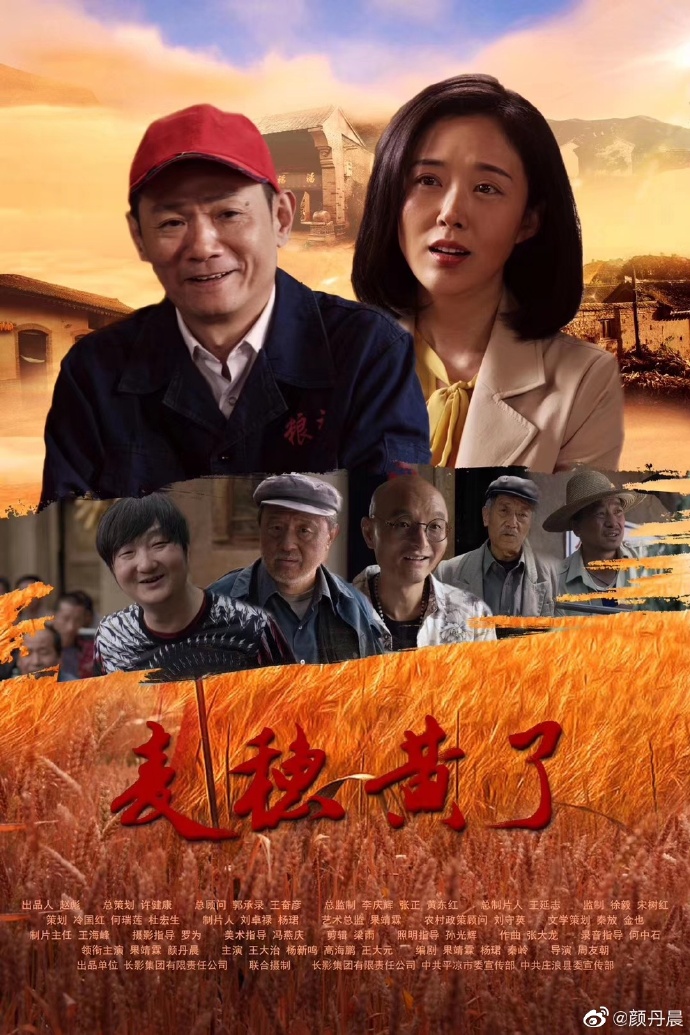 颜丹晨主演电影《麦穗黄了》剧照图集