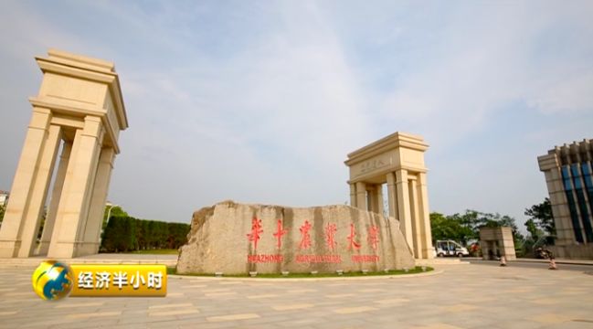 武汉 华中农业大学在华中农业大学蛋品加工国家地方联合工程研究中心