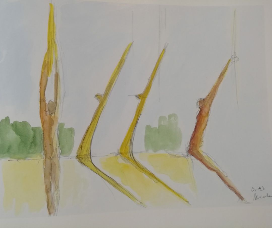 圣地亚哥 · 卡拉特拉瓦 | 披着"结构师和建筑师皮"的艺术家