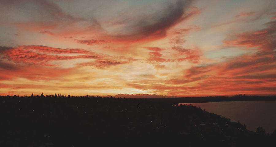 家电厂商们:虚伪的乐观与盲目的悲观,一样都很可怕!-家电圈官网