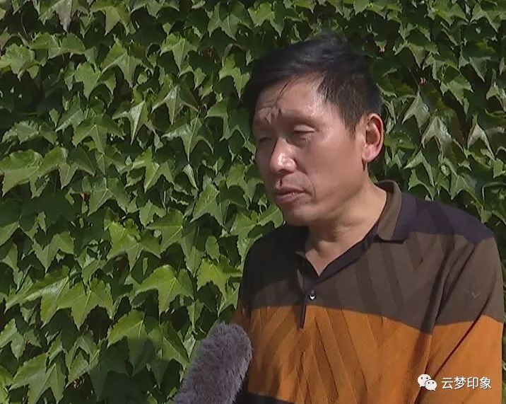 曾店镇大方村兴起肉牛养殖产业