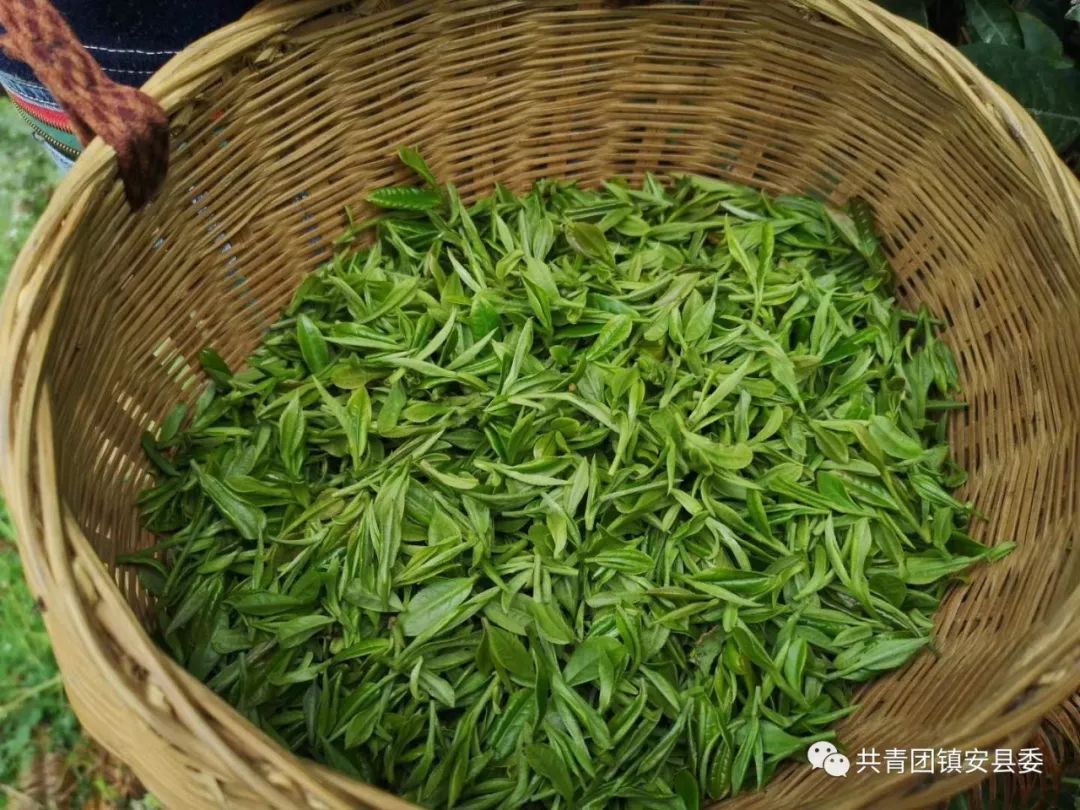 总师案"平反,在十里八村不胫而走,常说常新,但都抵不过象园茶的实用性