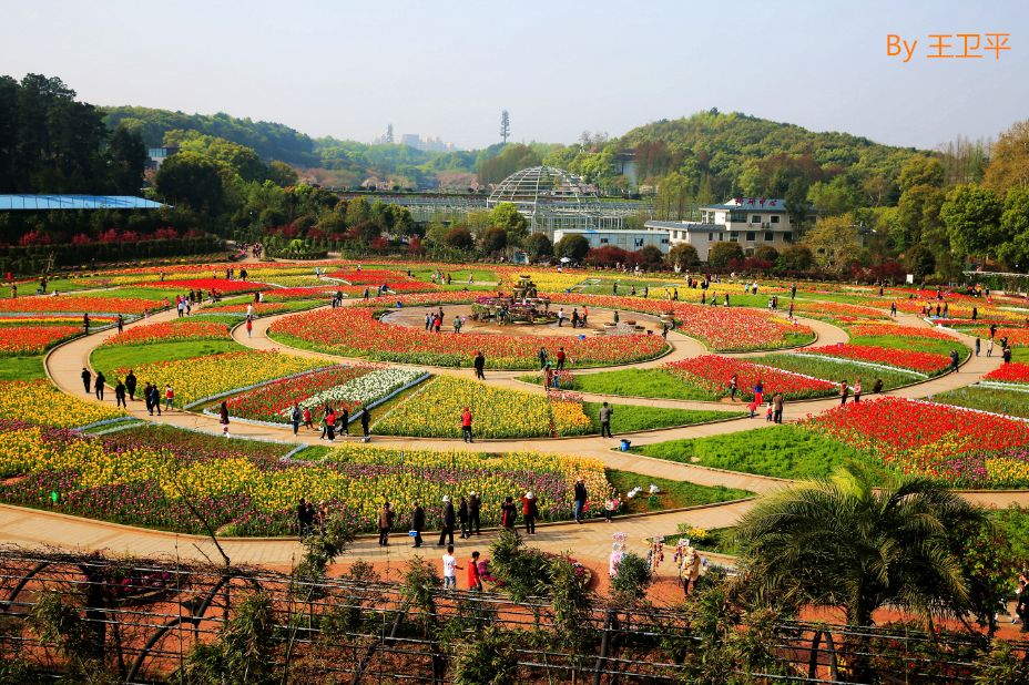 湖南省植物园景色图片