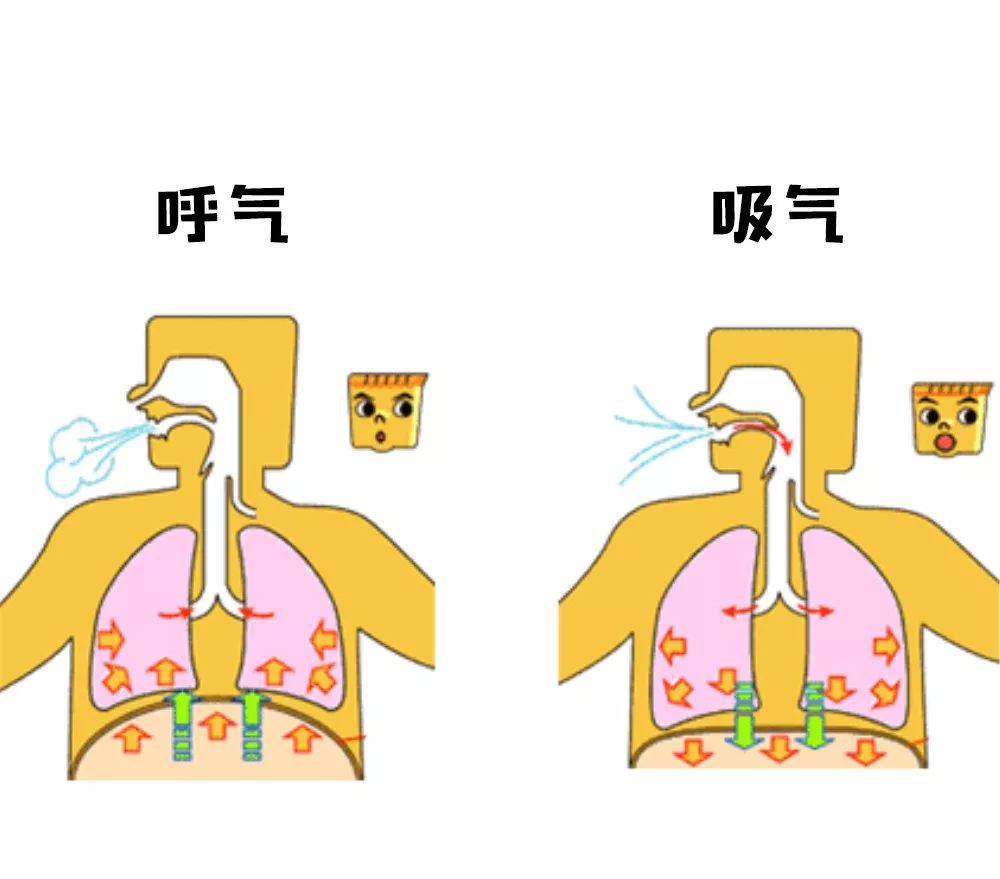 呼吸的过程动漫图片