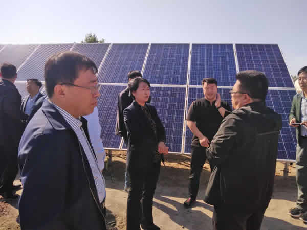 市人大常委会主任贾立燕深入万宝山镇视察当前农村工作