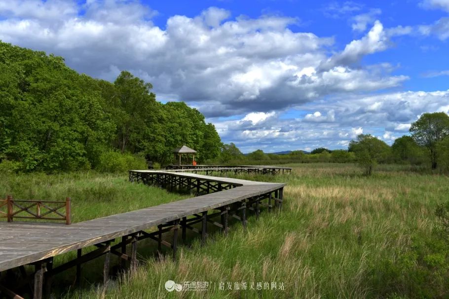【外媒探寻虎林之美】中俄边境珍宝岛湿地有多美?