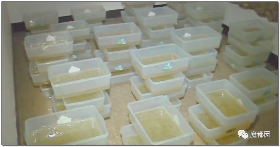 另外一个重点毒贩蔡昭荣家里