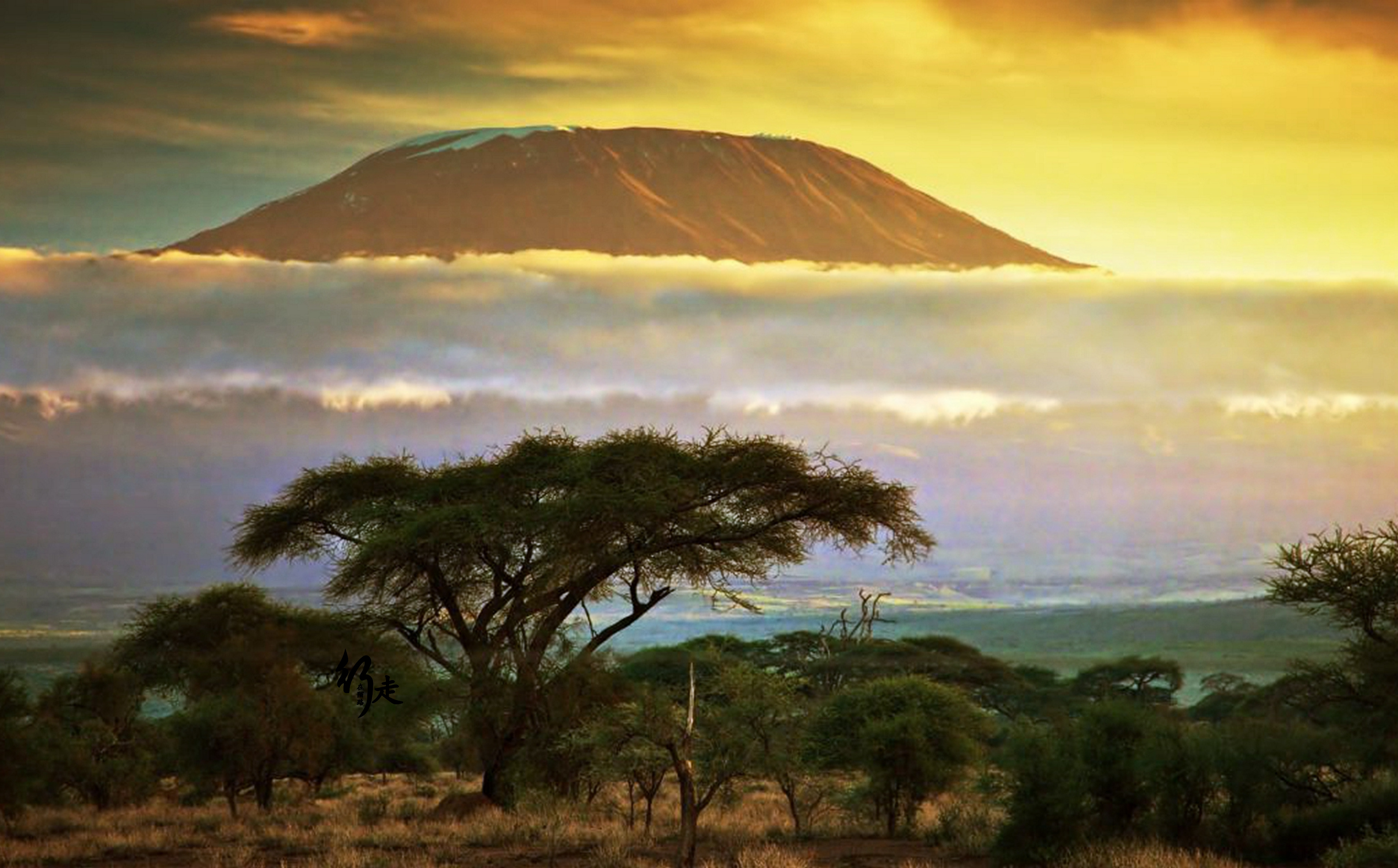 非洲最高的高峰图片