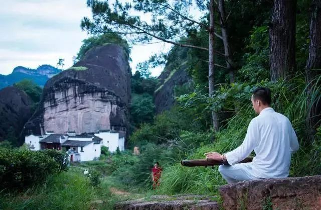 后姐弟隐居茶山,在999k㎡森林氧吧造出一片避世秘境,诗酒琴茶逍遥人生