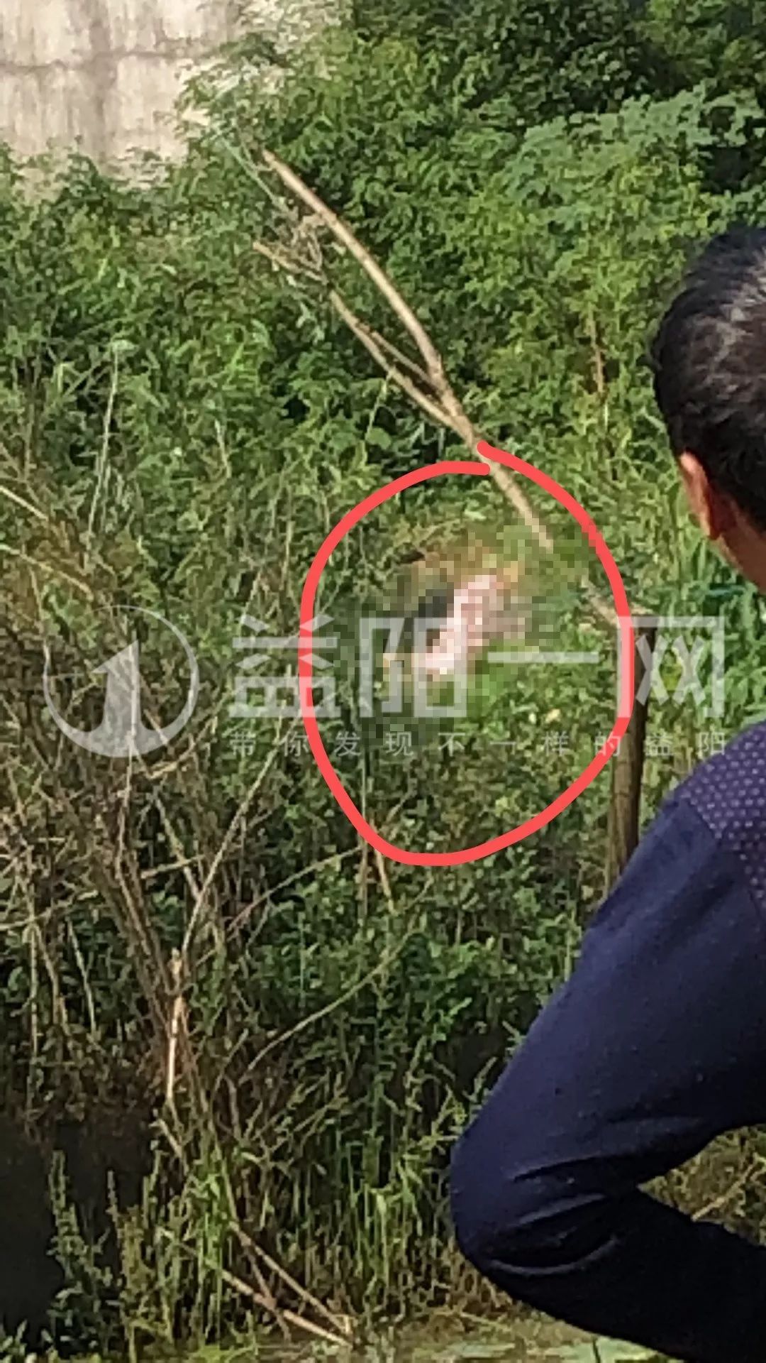 杀害女子并抛尸!嫌犯逃至蒙城,当场抓获