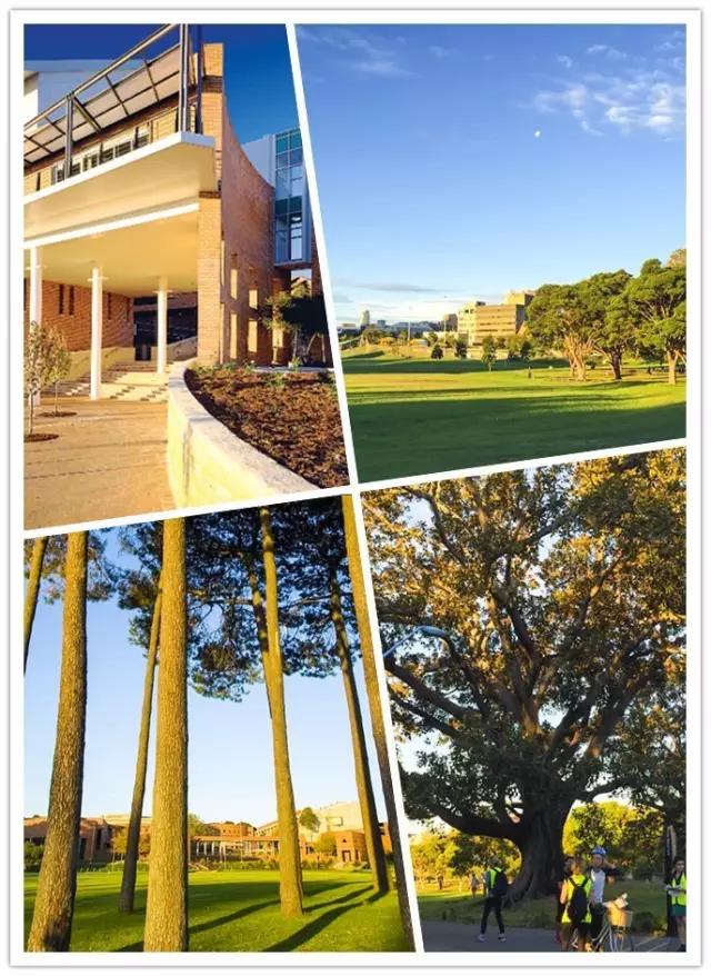 澳大利亚科廷大学位于西澳珀斯的五星公立大学华南师范大学出国留学