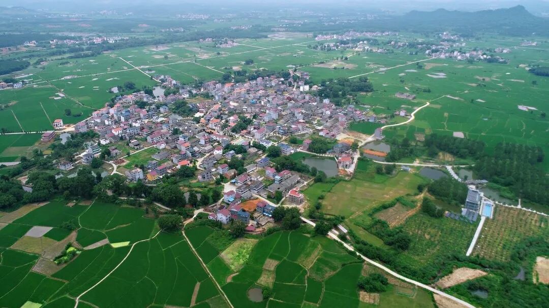 安福洲湖这个村火了用一首歌唱响了一座村