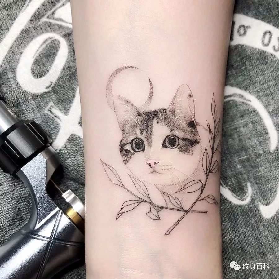 英短猫纹身图案图片