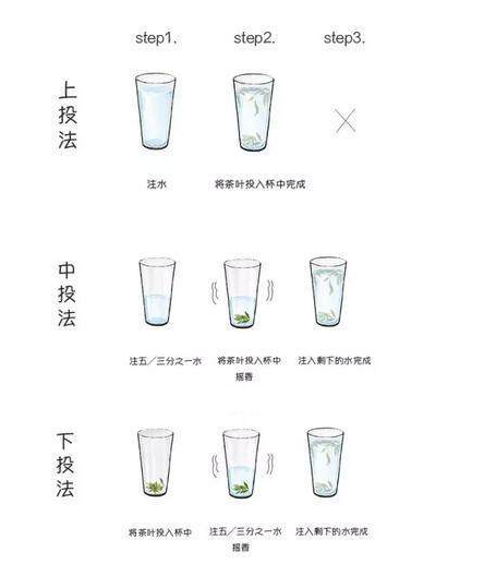 绿茶冲泡方法你学会了嘛