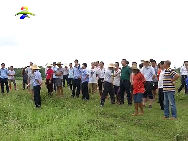 (来源:吴川市广播电视台吴川新闻)塘缀镇胡村岭共有领地面积179亩