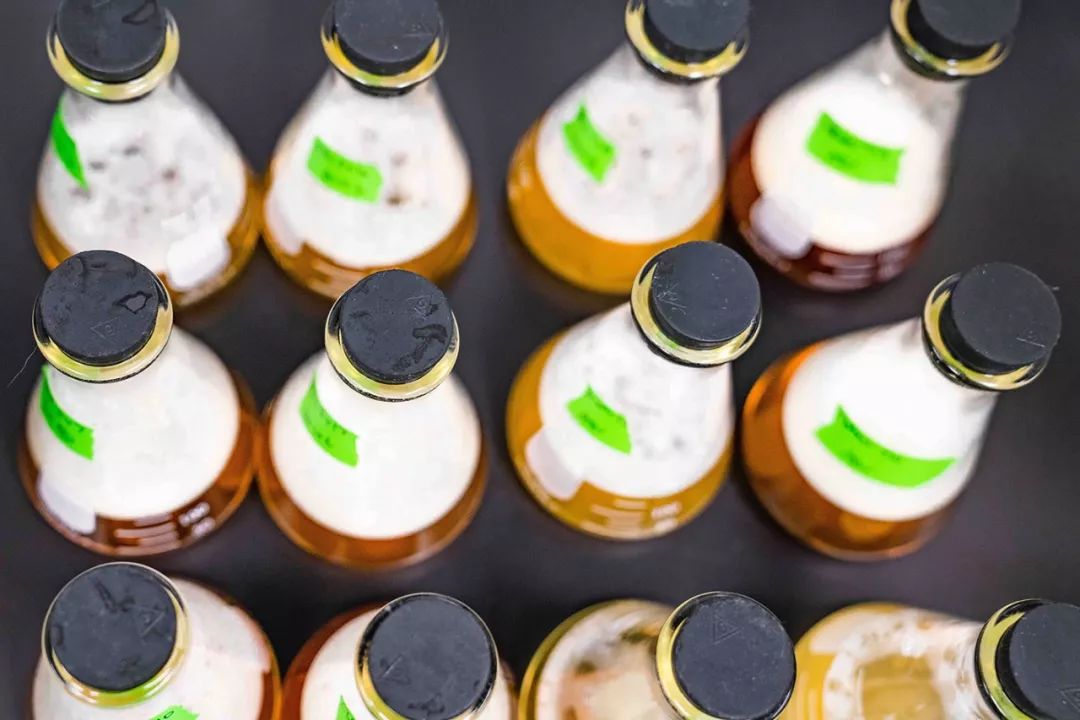 从20世纪50年代至60年代开始流行,氨苯砜是首个治疗麻风病的药物