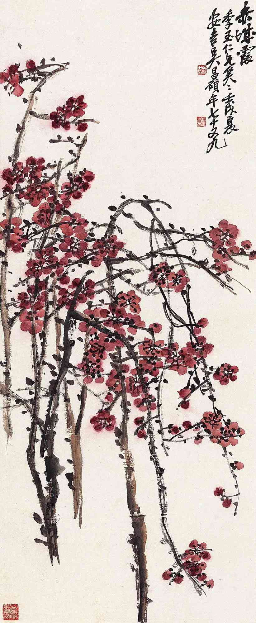 苦铁道人梅知己,吴昌硕画梅_梅花