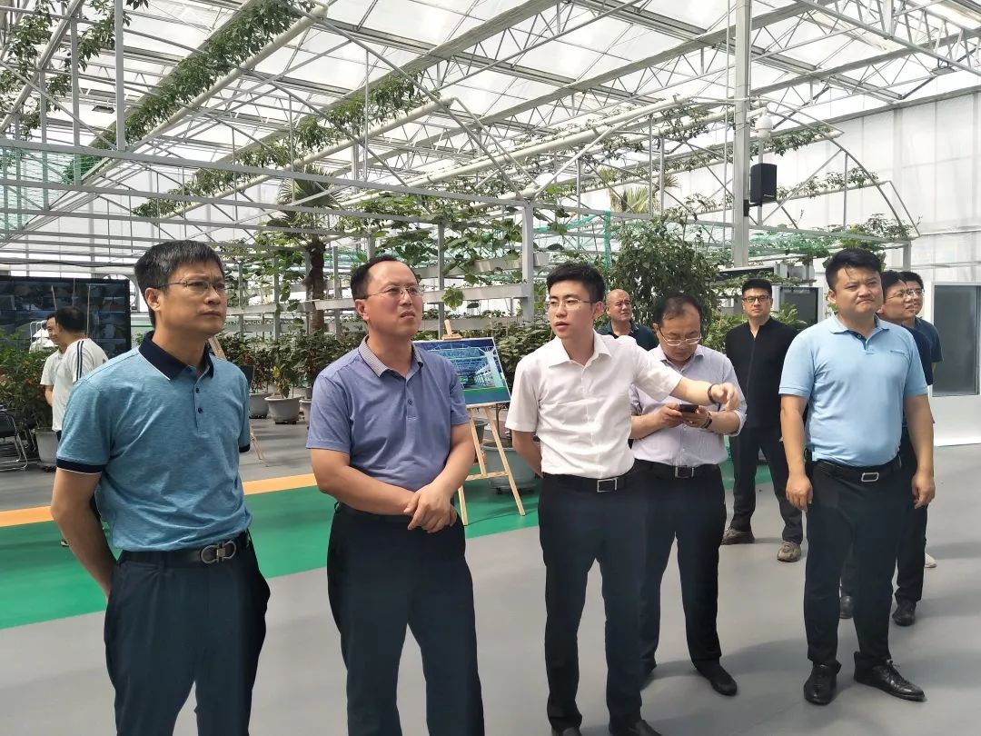 市委常委,副市长张振城到田柳调研