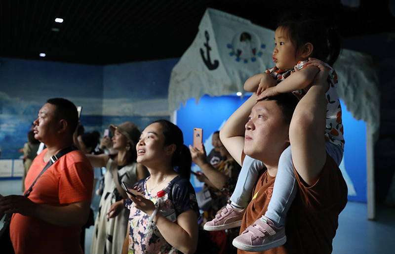 西安亲子游攻略曲江海洋极地公园打卡胜地和游玩体验项目了解一下