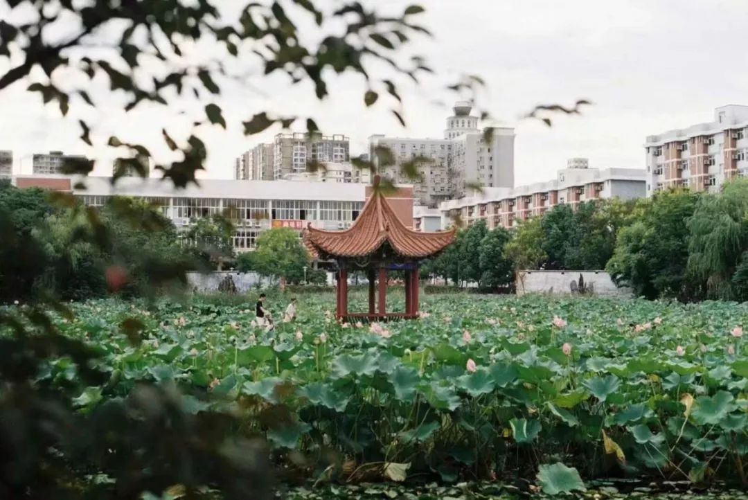 我們漢口學院的同學們是大花嶺鎮上最孤獨的人