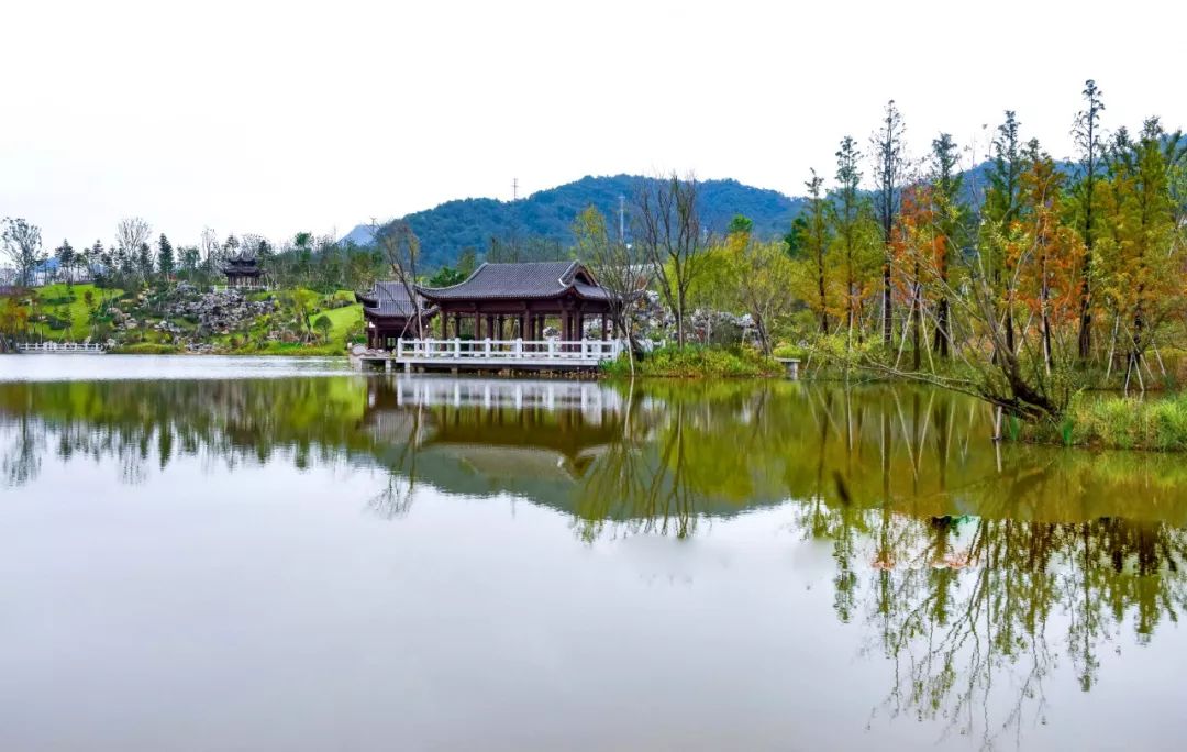 人文经典项目书香四溢美景满园安远县书香公园