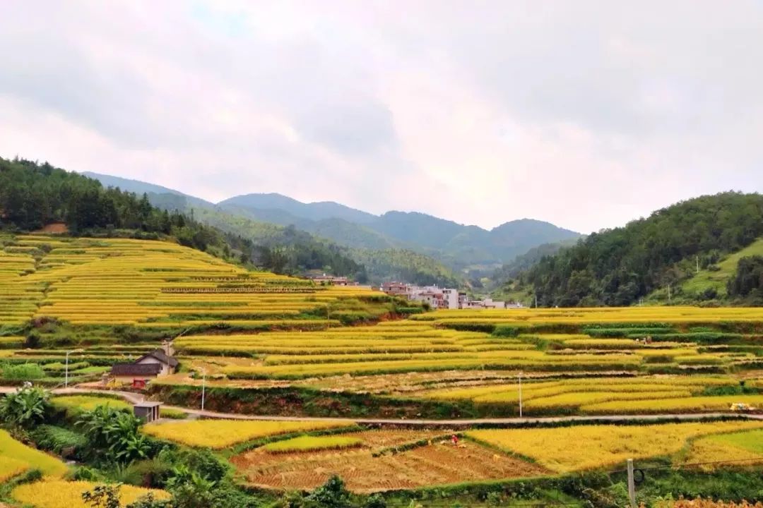 2019福建最美乡村入围村庄推介永定里佳村