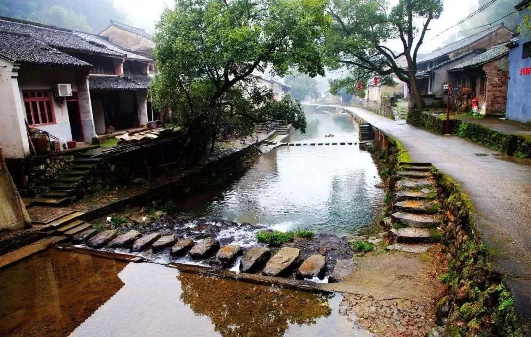 张祖庆教师如何成为写作者附投稿攻略与写作书单