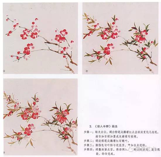 桃花的步骤画法
