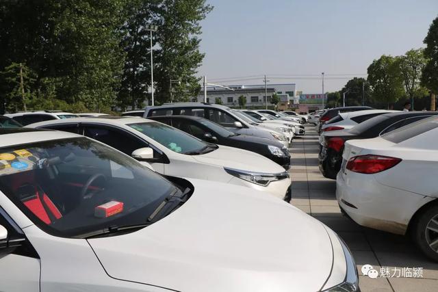 今天上午,黄龙湿地公园门口来了几百辆车.