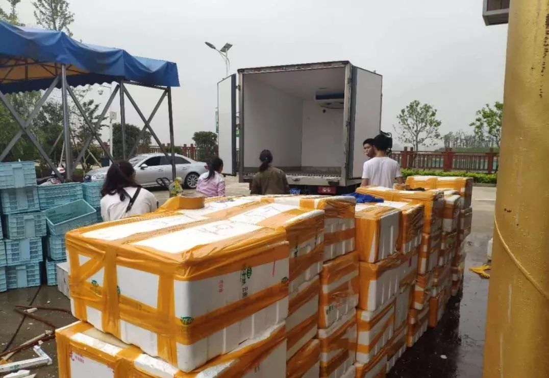 凯瑞农业推动彭泽小龙虾产业规模化风雨无阻