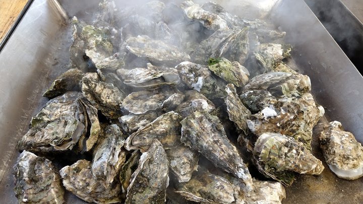 原创日本松岛游必尝牡蛎盛宴美味独享一大锅人均140元吃到撑