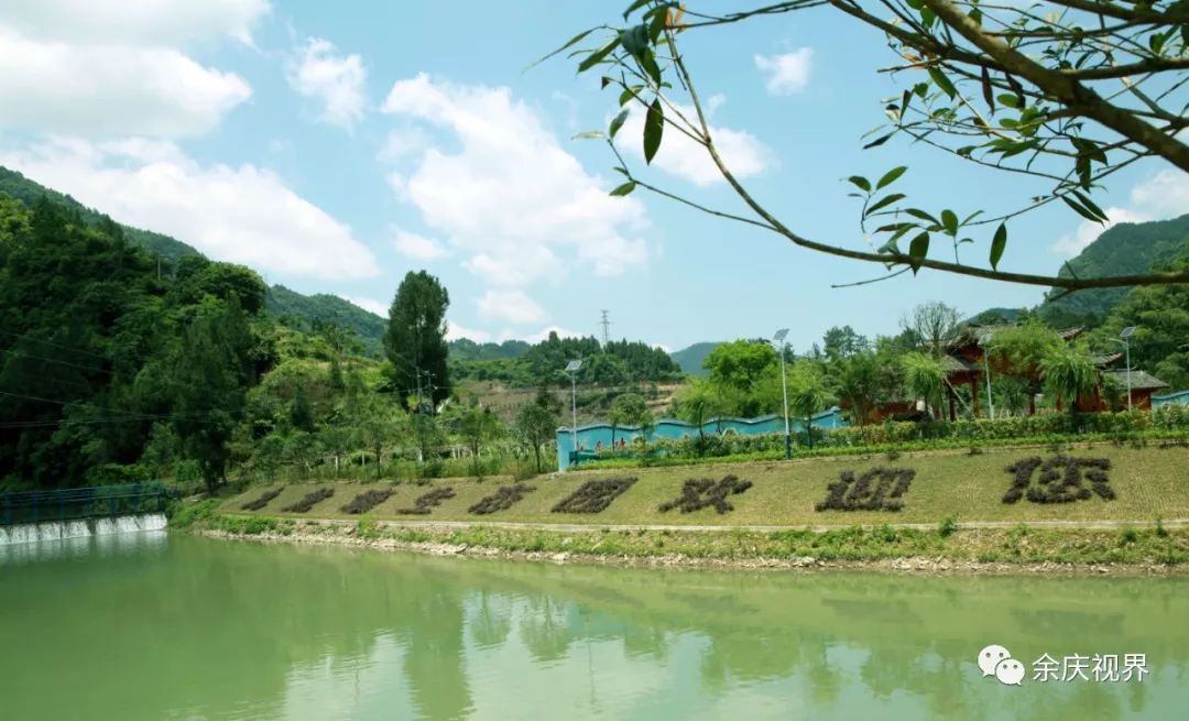 营业时间:2019年6月9日地 址:余庆县白泥镇小腮桂花村联系电话