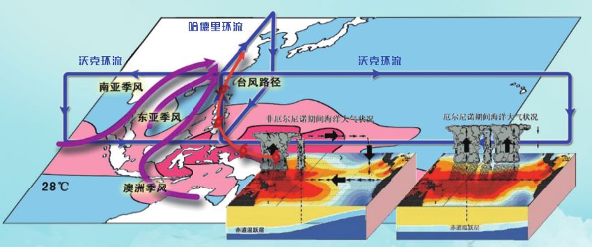 海与洋可以溶解二氧化碳并通过大洋环流降低海洋表层的温度,从而延缓