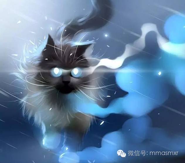 可爱的猫咪精灵