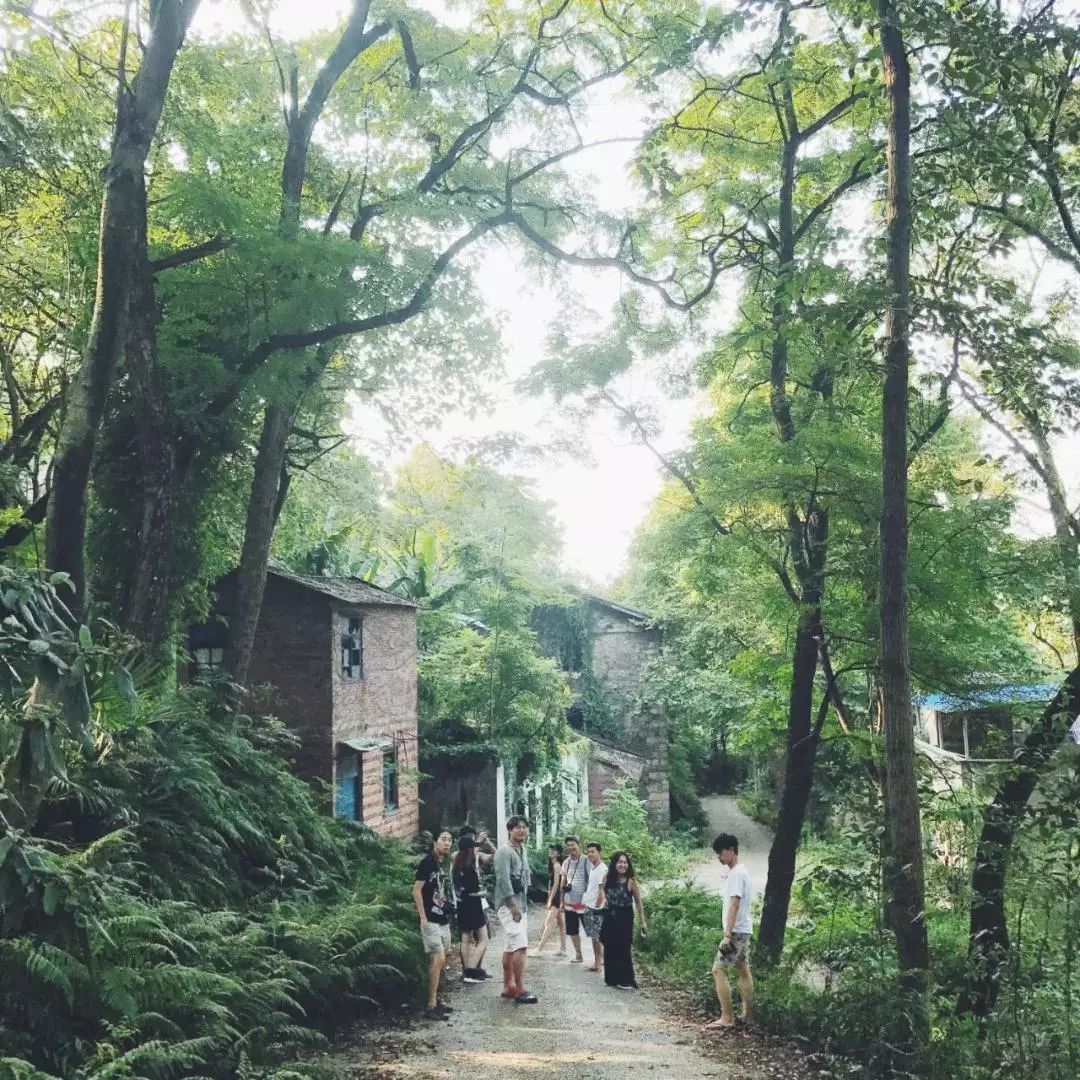 (可点击阅读详情)93岛艺术中92也是93岛居94艺术节的主会场