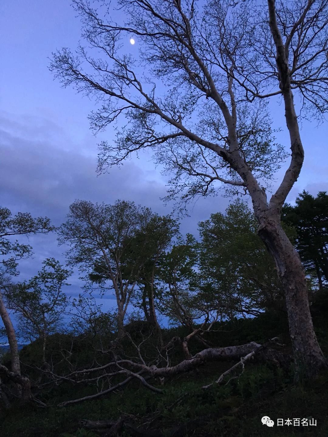 親身經歷日本荒野被困四天三夜九死一生