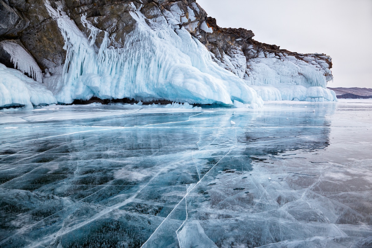 贝加尔湖冰层下的超萌海豹幼崽_聚焦_咔够网