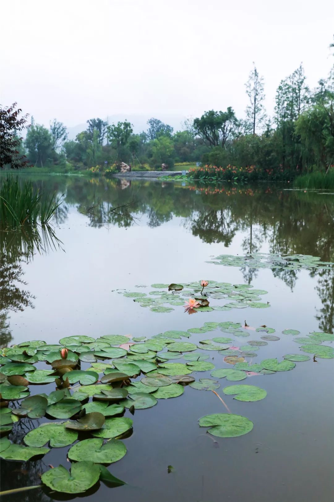 人文经典项目书香四溢美景满园安远县书香公园