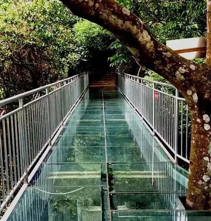 桂平龙潭公园玻璃桥图片