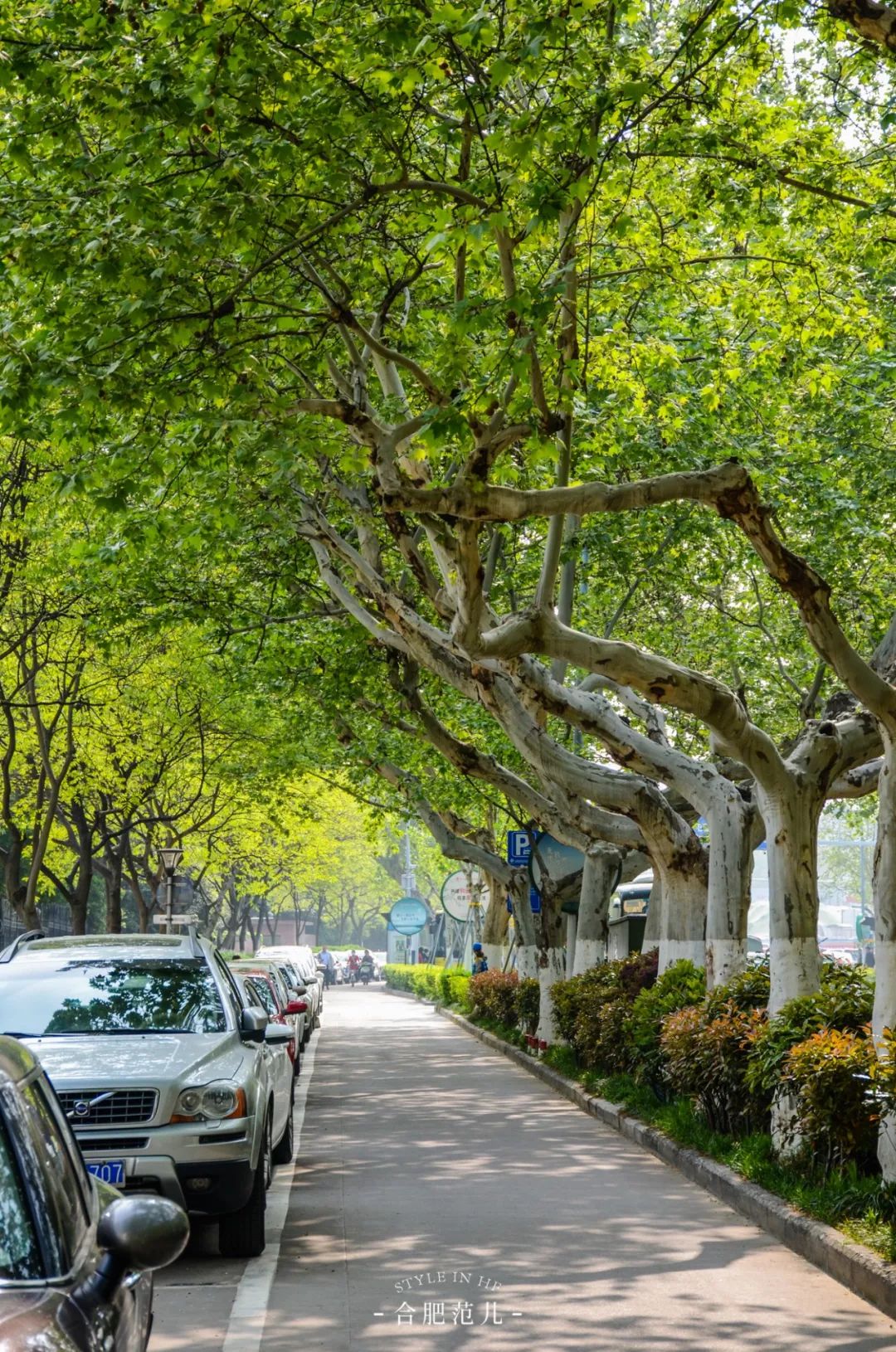 3100米的芜湖路藏了多少合肥人的青春