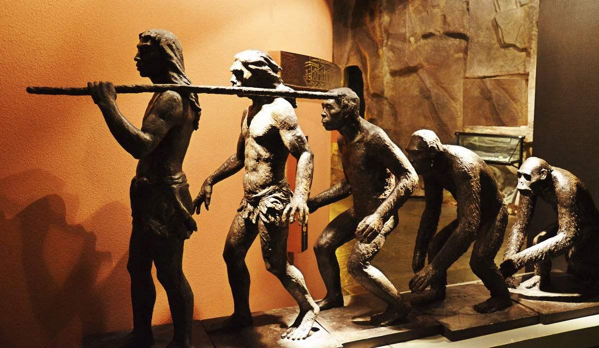 地球上的第一个人是怎么诞生的?科学家道出真相,进化论被质疑_人类