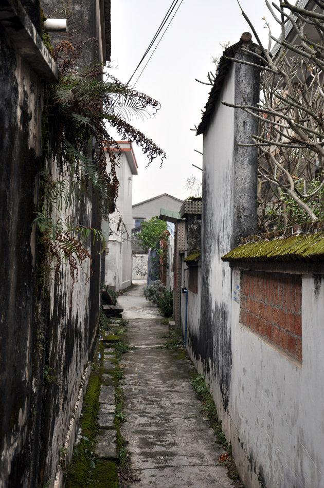 原创中山市这座岭南古村落正是破冰行动塔寨村的主要取景地