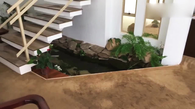 室内隐藏在楼梯下面的锦鲤鱼池太漂亮了主人很有创意