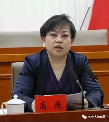 华坪女县长被双开图片