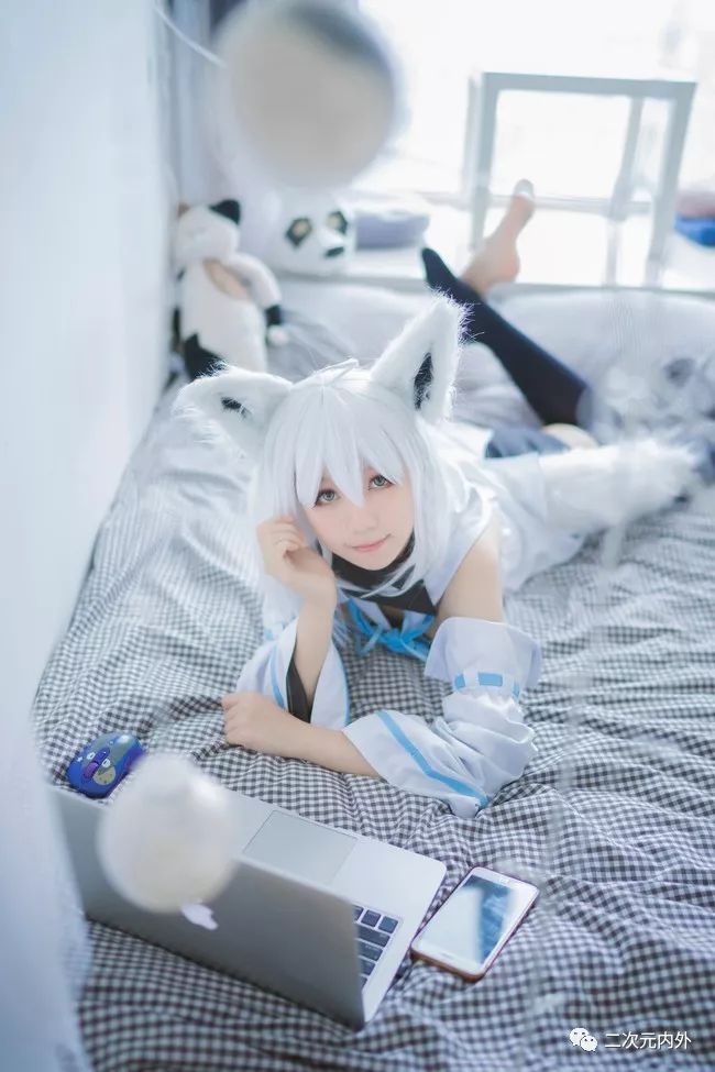 白上吹雪是萌狐狸不是喵喵哦