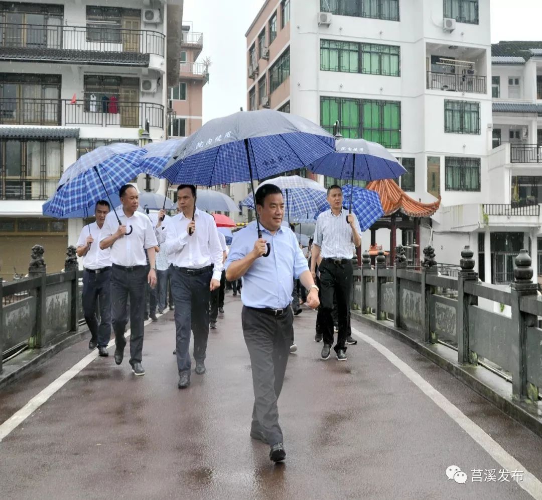 蒼南縣鄉村振興示範帶暨美麗鄉村建設現場會在莒溪鎮召開